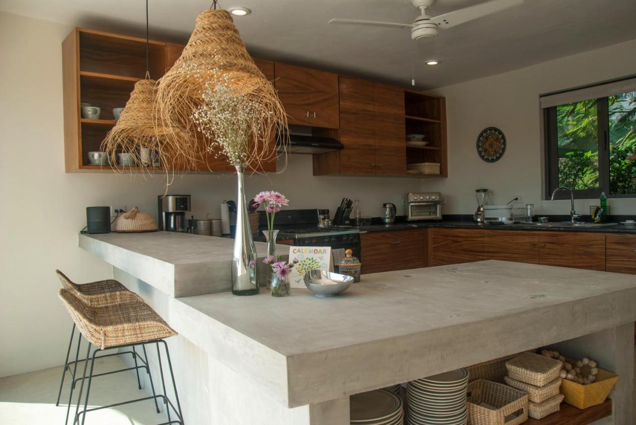 San José del Cabo Casa Lulu Bed & Breakfast エクステリア 写真