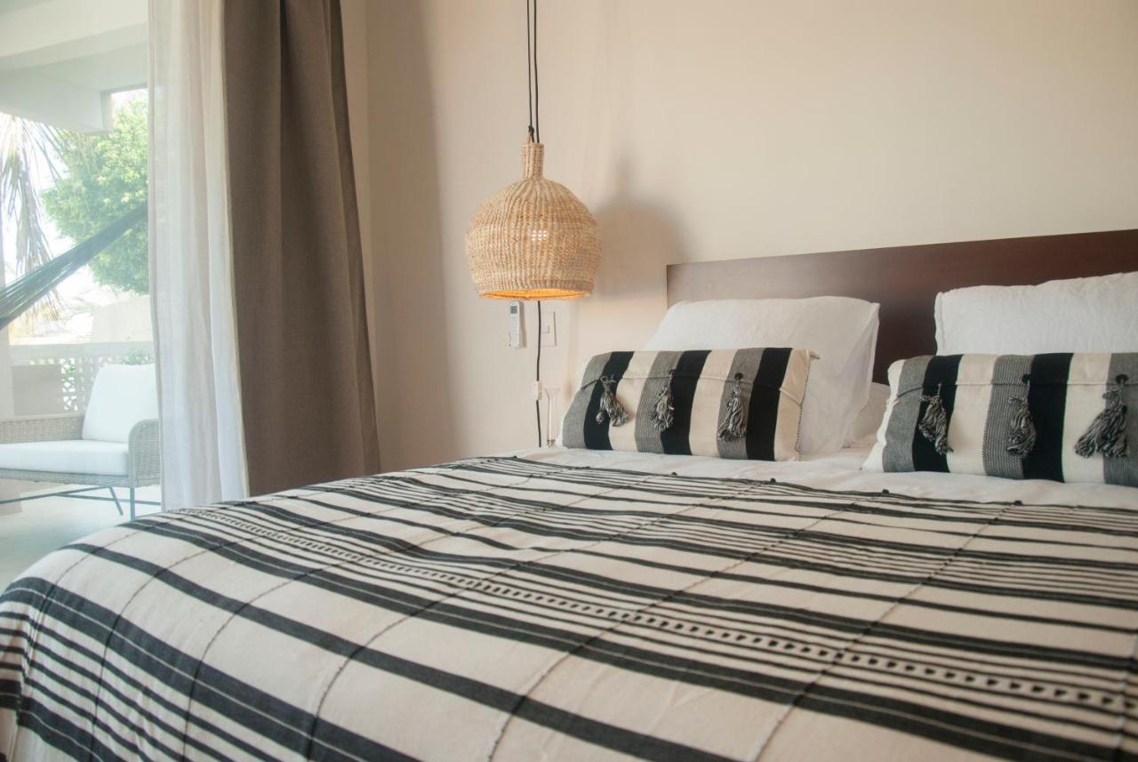San José del Cabo Casa Lulu Bed & Breakfast エクステリア 写真